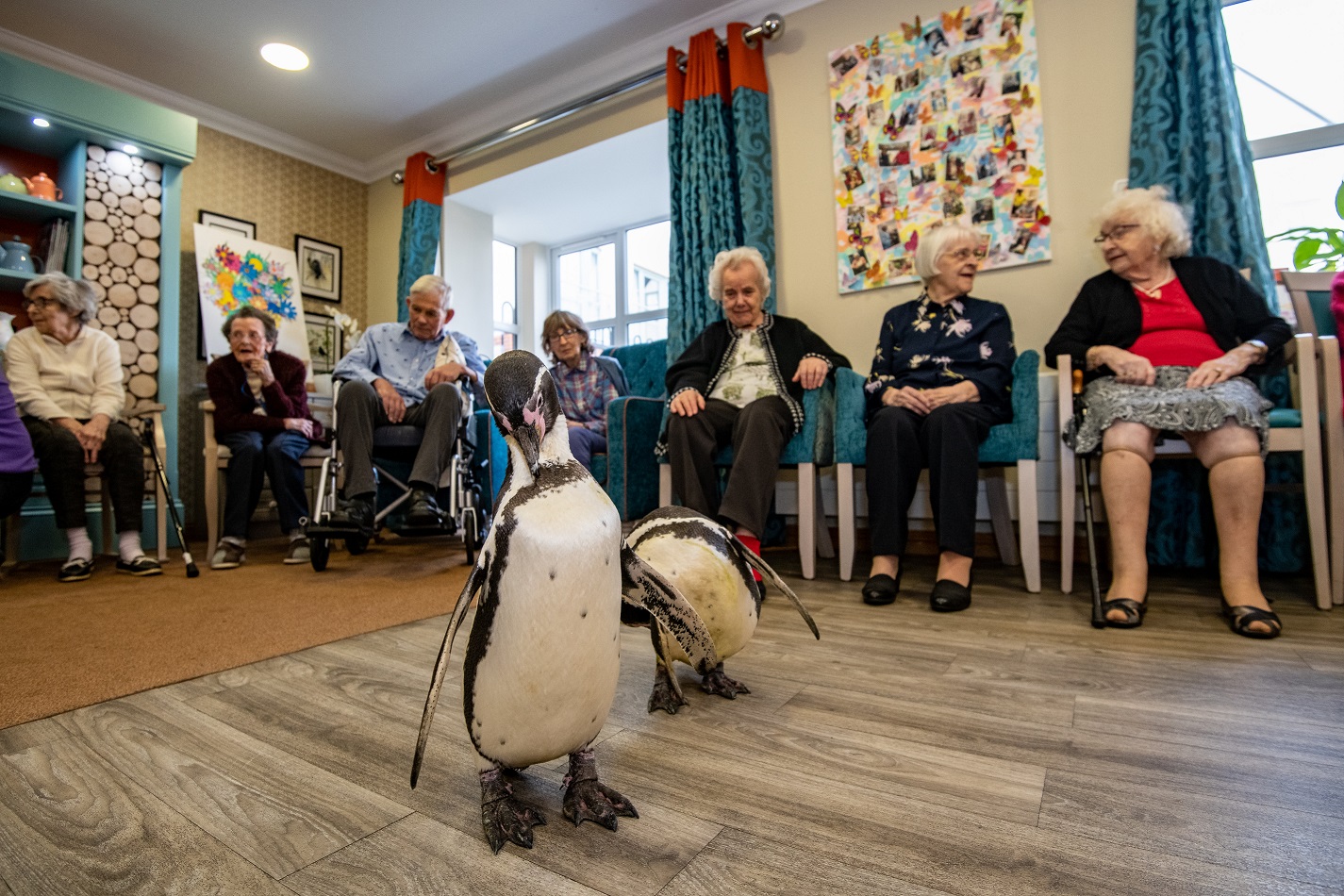 Penguin shoe store care